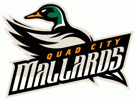 quad city mallards 2014-pres alternate logo iron on heat transfer